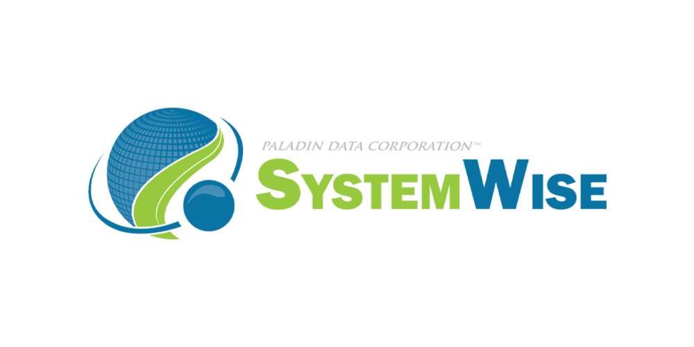 System Wise Logo