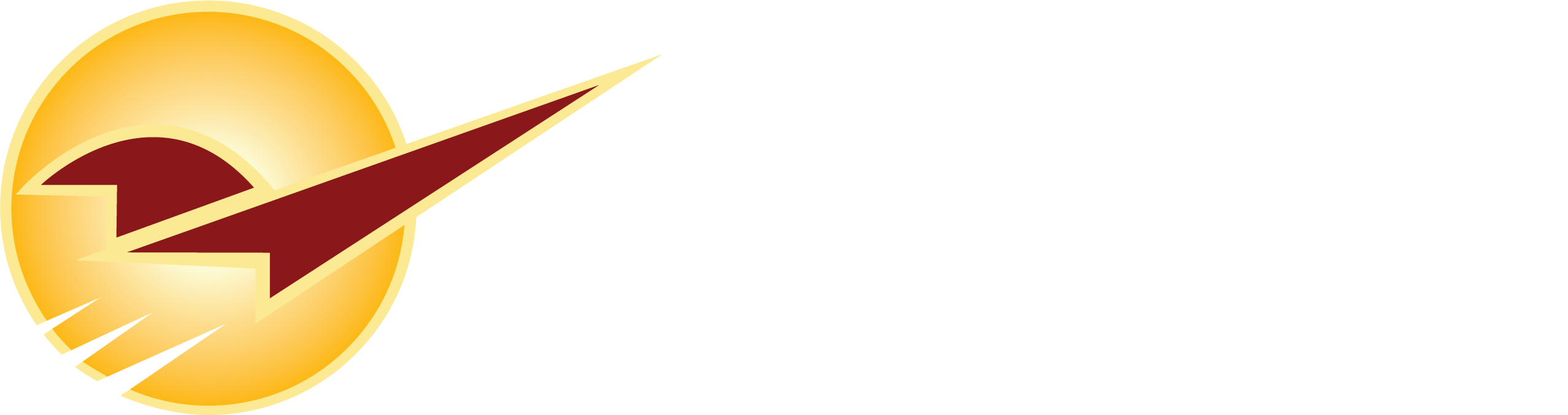 Paladin Data Corporation logo